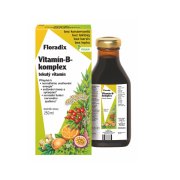 Salus Floradix Vitamin-B-komplex 250ml