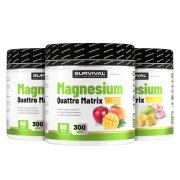 Survival Magnesium Quattro Matrix 300 g 2+1 ZDARMA 2xpomelo&marsh + 1xjablko