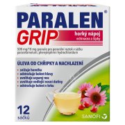 Paralen Grip Echinacea a šípky 500/10mg 12 sáčků