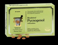 Bioaktivní Pycnogenol 90 tablet