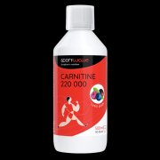 Sport Wave Carnitine 220 000 500ml - lesní plody