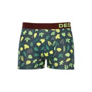 Dedoles Veselé pánské boxerky Lesní chata (D-M-UN-T-C-C-1375) M