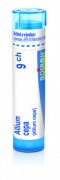Allium Cepa 9CH gra.4g