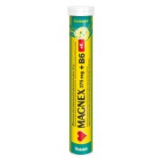 Magnex 375mg+B6 20 šumivých tablet