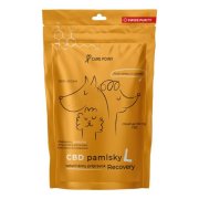 CURE POINT CBD Recovery L Pamlsky pro psy 100 g