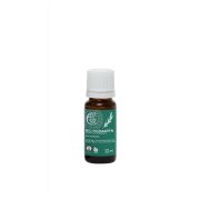 TIERRA VERDE Esenciální olej Rozmarýn BIO 10 ml