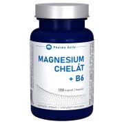PHARMA ACTIV Magnesium Chelát + B6 120 kapslí