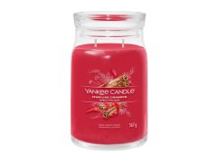 Yankee Candle vonná svíčka Sparkling Cinnamon 567g