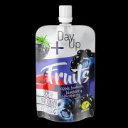 DAY UP Fruits borůvka kapsička 100 g