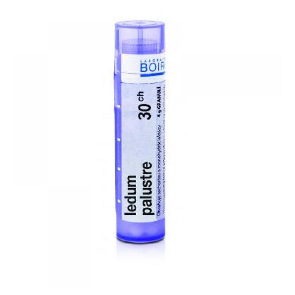 BOIRON Ledum Palustre CH30 4 g