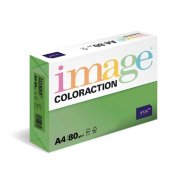 Antalis Dublin - barevný kancelářský papír, tmavě zelený A4, 80 g/m2, 500 listů