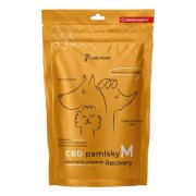 CURE POINT CBD Recovery M Pamlsky pro psy 100 g