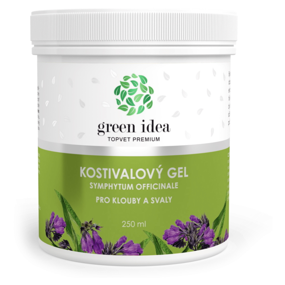 Green Idea Kostivalový Gel 250ml