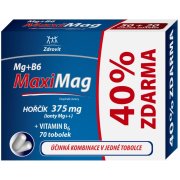 MAXIMAG Hořčík 375 mg + B6 40% ZDARMA 70 tobolek