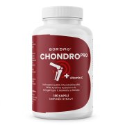 BORMAG ChondroPro komplex se shiitake a boswellií 180 kapslí