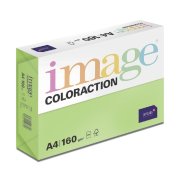 Antalis Java - barevný kancelářský papír, středně zelený A4, 160 g/m2, 250 listů