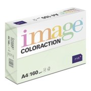 Antalis Jungle - barevný kancelářský papír, pastelově světle zelený A4, 160 g/m2, 250 listů