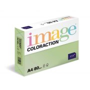 Antalis Forest - barevný kancelářský papír, pastelově zelený A4, 80 g/m2, 500 listů