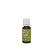 TIERRA VERDE Esenciální olej Vavřín Kubébový BIO 10 ml