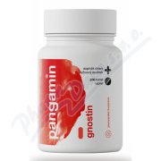 Pangamin Gnostin tbl.200