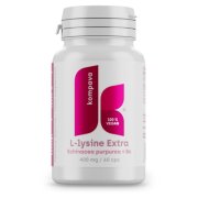 KOMPAVA L-Lysine extra 400 mg 60 kapslí