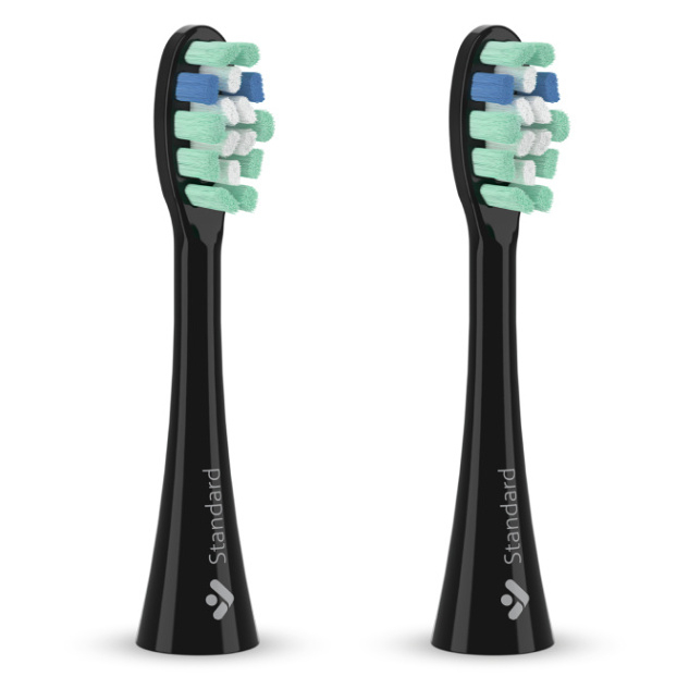 TRUELIFE SonicBrush Clean náhradní hlavice standard černá 2 kusy