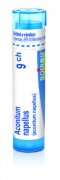 Aconitum Napellus 9CH gra.4g