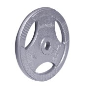 inSPORTline Litinový kotouč  Hamerton 20 kg 30 mm