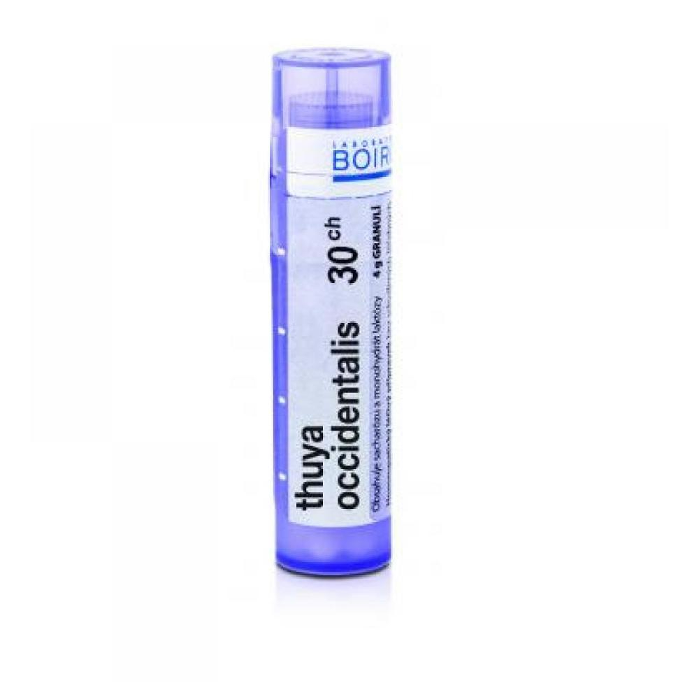 BOIRON Thuya Occidentalis CH30 4 g