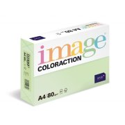 Antalis Jungle - barevný kancelářský papír, pastelově světle zelený A4, 80 g/m2, 500 listů