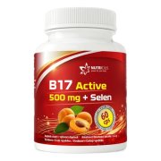 B17 Active 500mg + Selen 60 kapslí