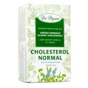 Dr.Popov Čaj Cholesterol normal 20 x 1.5 g