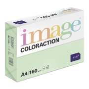 Antalis Forest - barevný kancelářský papír, pastelově zelený A4, 160 g/m2, 250 listů