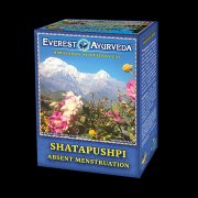 EVEREST AYURVEDA Shatapushpi při absenci menstruace sypaný čaj 100 g