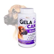 GELACAN baby 1000 g