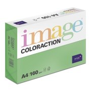 Antalis Dublin - barevný kancelářský papír, tmavě zelený A4, 160 g/m2, 250 listů